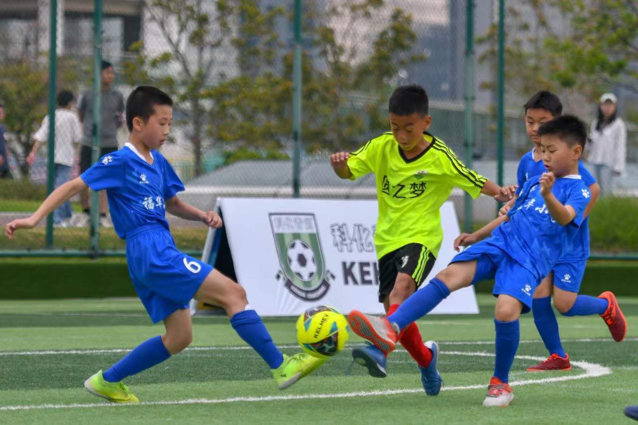 的战术大师 的战术大师